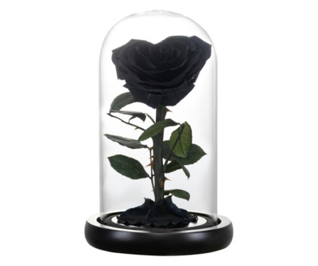 Trandafir criogenat negru in forma de inima, rezista pana la 25 ani