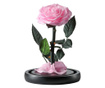 Trandafir criogenat bella roz in cupola de sticla, rezista pana la 25 ani