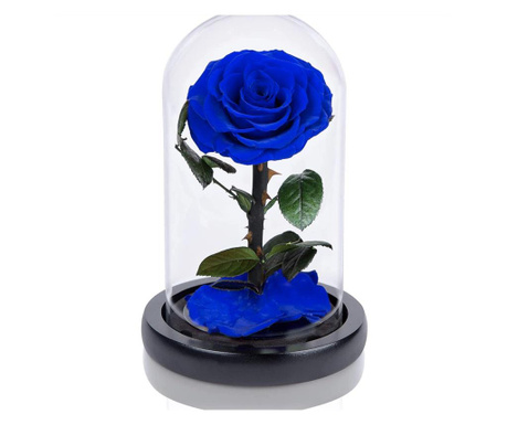 Trandafir criogenat albastru bella in cupola sticla (Ø=7,5-8cm, rezista 25 ani)