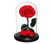 Trandafir criogenat bonita rosu in cupola de sticla, rezista pana la 25 ani