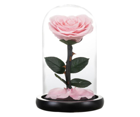 Trandafir criogenat roz in forma de inima, rezista pana la 25 ani