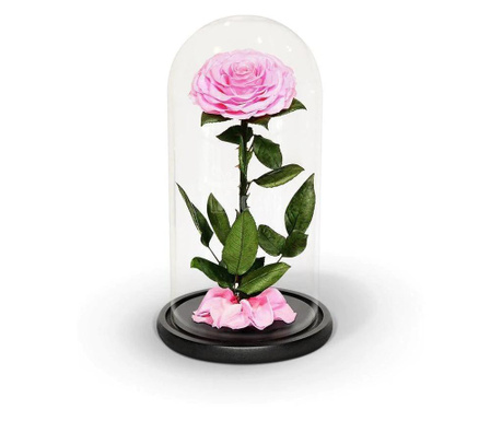 Trandafir criogenat bonita roz in cupola sticla, rezista 25 ani