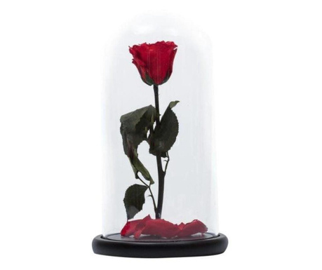 Trandafir criogenat rosu xl in cupola sticla, rezista 25 ani