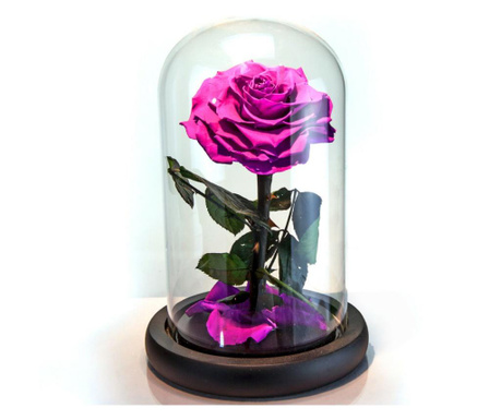 Trandafir criogenat ciclam lux in cupola sticla (Ø=7,5-8cm, rezista 25 ani)