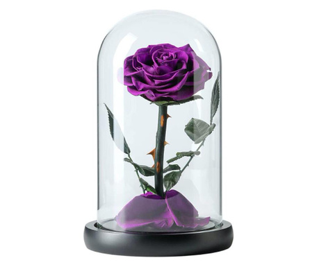 Trandafir criogenat bonita mov purpuriu in cupola sticla (Ø=9-9,5cm, rezista 25 ani)