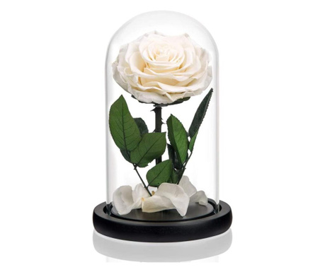 Trandafir criogenat premium alb in cupola de sticla, rezista 25 ani