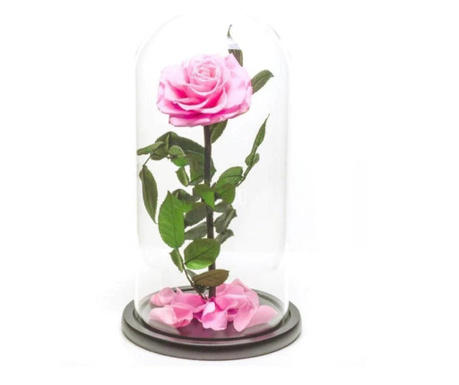 Trandafir criogenat bonita roz in cupola mare de sticla, rezista 25 ani