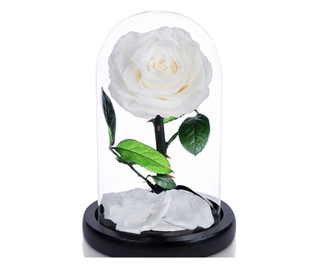 Trandafir criogenat premium alb in cupola de sticla, rezista pana la 25 ani