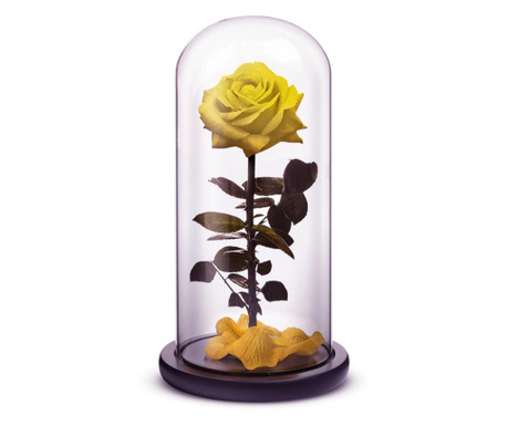 Trandafir criogenat premium bright galben in cupola sticla, rezista pana la 25 ani