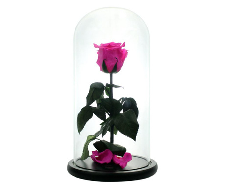 Trandafir criogenat xl ciclam in cupola sticla (rezista 25 ani)