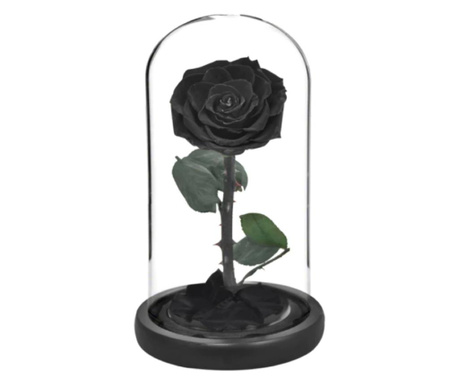 Trandafir criogenat negru lux in cupola de sticla, rezista 25 de ani