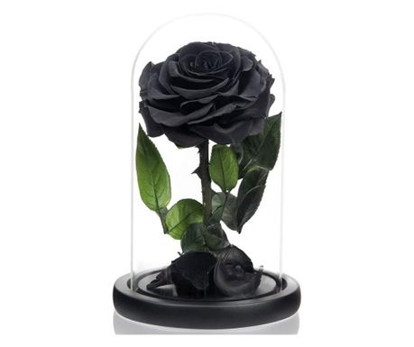 Trandafir criogenat premium negru in cupola sticla, rezista pana la 25 ani