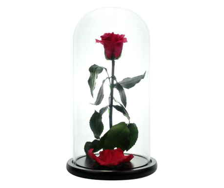 Trandafir criogenat xl roz inchis in cupola sticla (rezista 25 ani)