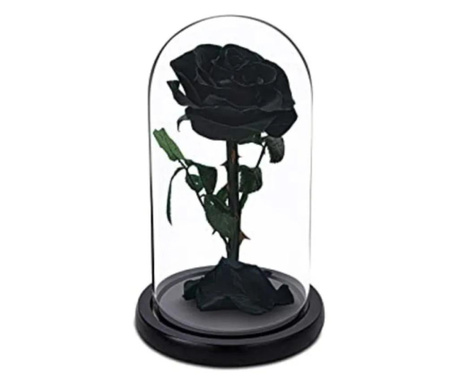 Trandafir criogenat negru in cupola de sticla, rezista 25 ani