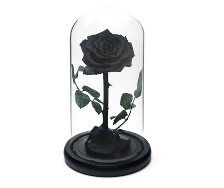 Trandafir criogenat premium negru in cupola de sticla, rezista pana la 25 ani