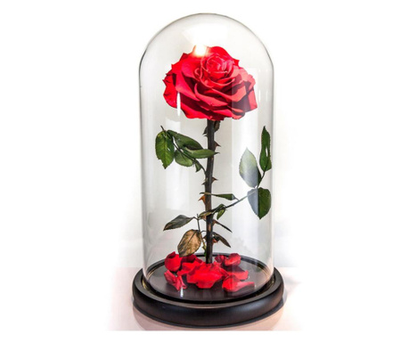 Trandafir criogenat rosu premium in cupola sticla, rezista 25 ani