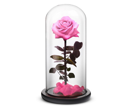 Trandafir criogenat premium roz pastel in cupola sticla, rezista pana la 25 ani