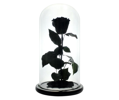Trandafir criogenat xl negru in cupola sticla (rezista 25 ani)