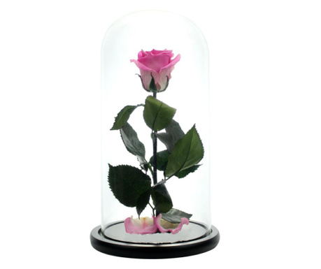 Trandafir criogenat xl roz in cupola sticla (rezista 25 ani)