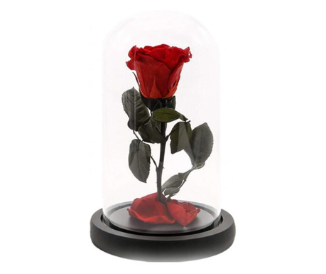 Trandafir criogenat rosu xl in cupola de sticla, rezista pana la 25 ani