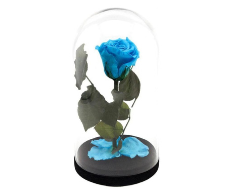 Trandafir criogenat bleu xl in cupola de sticla, rezista pana la 25 ani