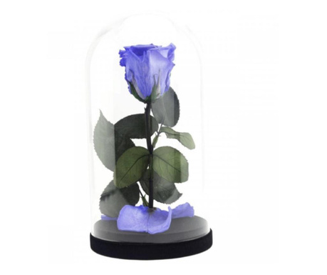 Trandafir criogenat mov xl in cupola de sticla, rezista pana la 25 ani