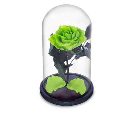 Trandafir criogenat verde deschis in cupola sticla (rezista 25 ani, cu mesaj scris)
