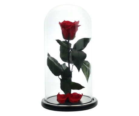 Trandafir criogenat xl rosu in cupola sticla (rezista 25 ani)