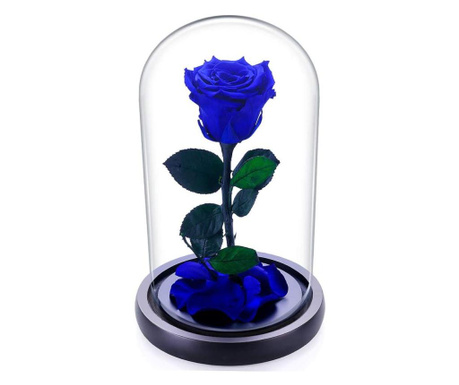 Trandafir criogenat albastru xl in cupola de sticla (rezista 25 ani, cu mesaj scris inclus)