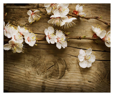 MÉdia fali tapéta, öntapadó és mosható, cseresznyevirág 2 modell, 220 x 135 cm
