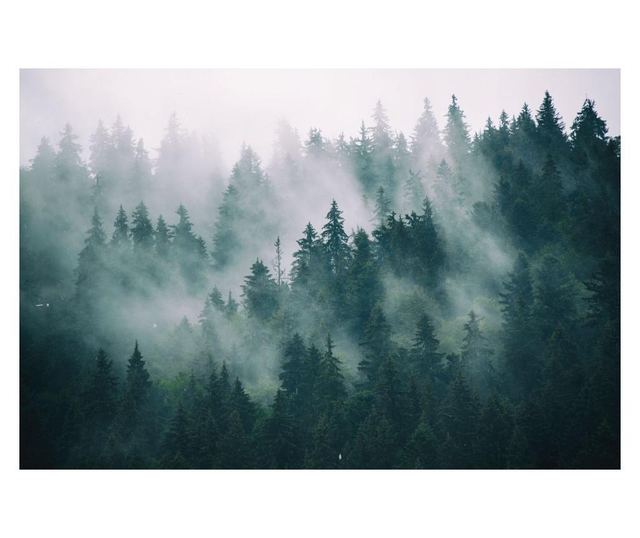 Fotótapéta a Nappaliba Erdő Ködben Hegyek Táj 3D 450x300cm