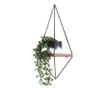Raft de perete Evila Originals 792EVL2743, 23x60 cm, lemn de molid / metal, maro / negru