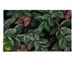 Covor Chilai Home 877CHL1148, 45x70 cm, PVC, Verde