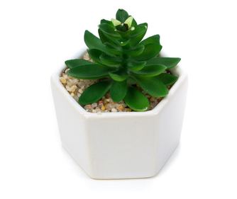 Planta suculenta artificiala in ghiveci F419-308-1 Pami Flower 5x6.5 cm Verde