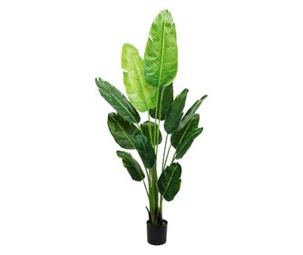 Planta artificiala, Ravenala fara ghiveci, D4297, 190cm
