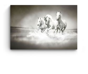 Tablou Startonight pe sticla acrilica Cai la Galop, luminos in intuneric, 60 x 90 cm