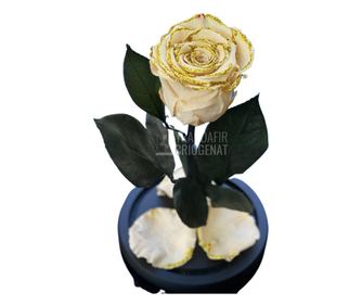 Trandafir Criogenat crem cu sclipici Ø6,5cm in cupola 10x20cm