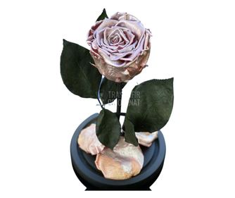 Trandafir Criogenat roz metalizat Ø6,5cm in cupola 10x20cm
