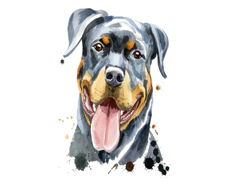 Tablou canvas, happy dog,