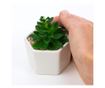 Planta suculenta artificiala in ghiveci F419-308-1 Pami Flower 5x6.5 cm Verde thumbnail 2