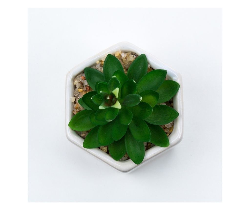 Planta suculenta artificiala in ghiveci F419-308-1 Pami Flower 5x6.5 cm Verde - 3