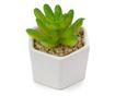 Planta suculenta artificiala in ghiveci F419-308-2 Pami Flower 5x6.5 cm Verde thumbnail 1