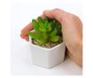Planta suculenta artificiala in ghiveci F419-308-2 Pami Flower 5x6.5 cm Verde thumbnail 2