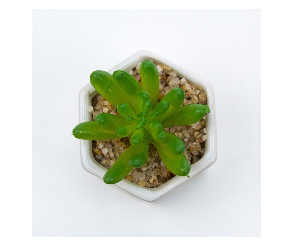 Planta suculenta artificiala in ghiveci F419-308-2 Pami Flower 5x6.5 cm Verde - 3