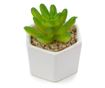 Planta suculenta artificiala in ghiveci F419-308-2 Pami Flower 5x6.5 cm Verde thumbnail 4