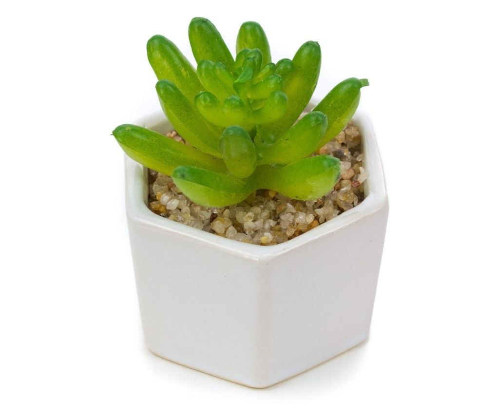 Planta suculenta artificiala in ghiveci F419-308-2 Pami Flower 5x6.5 cm Verde - 4