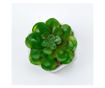 Planta suculenta artificiala in ghiveci F419-308-11 Pami Flower 5x6.5 cm Verde thumbnail 3