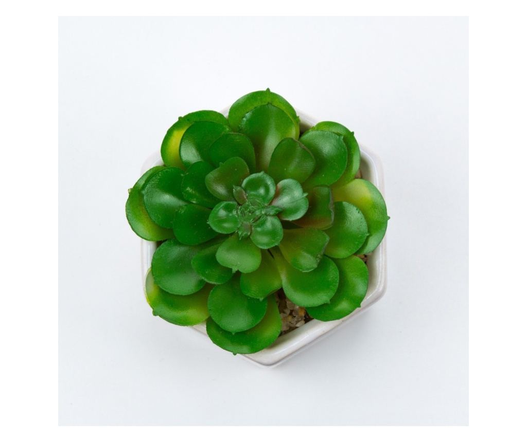Planta suculenta artificiala in ghiveci F419-308-11 Pami Flower 5x6.5 cm Verde - 3