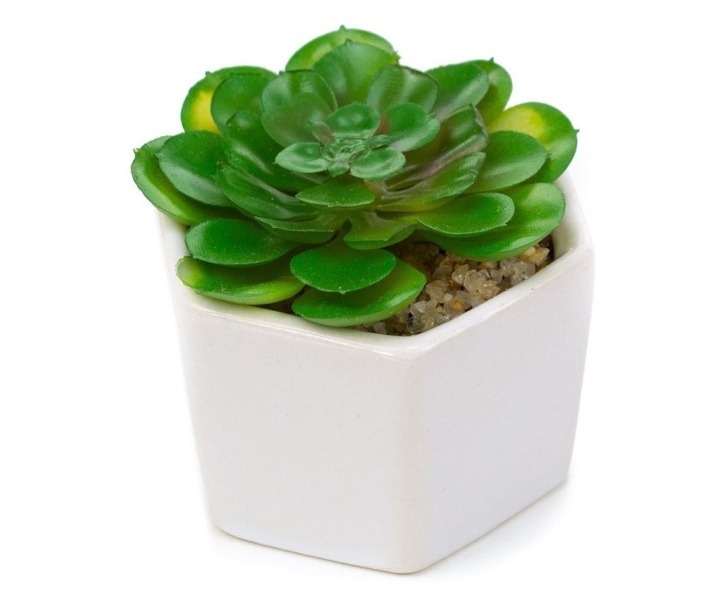 Planta suculenta artificiala in ghiveci F419-308-11 Pami Flower 5x6.5 cm Verde - 4