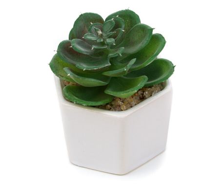 Planta suculenta artificiala in ghiveci F419-308-12 Pami Flower 5x6.5 cm Verde
